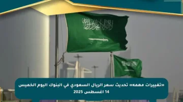 «تغييرات مهمة» تحديث سعر الريال السعودي في البنوك اليوم الخميس 14 أغسطس 2025
